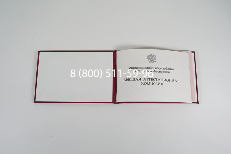 Диплом доктора наук 1995-2006 года в Новом Уренгое Диплом доктора наук 1995-2006 года в Новом Уренгое