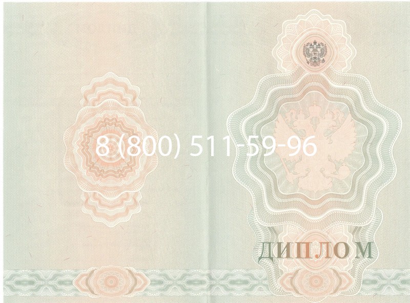 Купить Диплом ПТУ 2007-2010 годов в Новом Уренгое