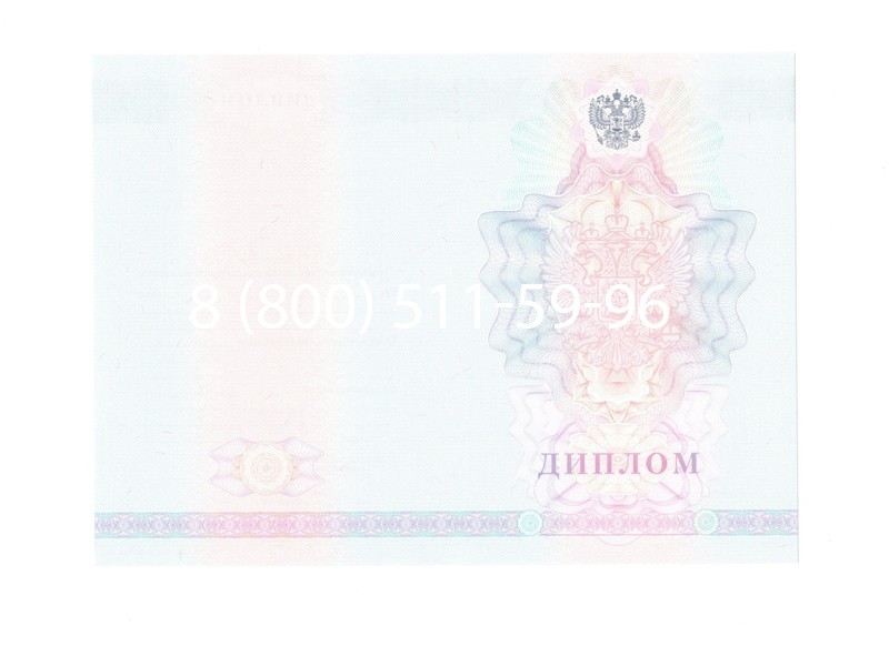 Заказать Диплом техникума 2007-2010 годов в Новом Уренгое